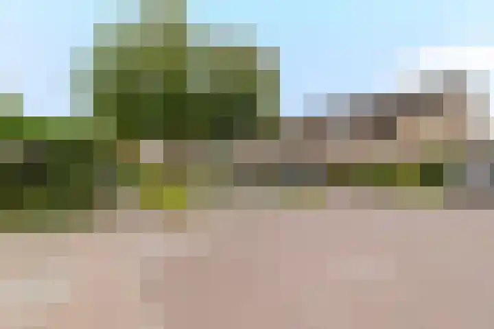 Grote Beukelaer 46 Heino thumbnail 36