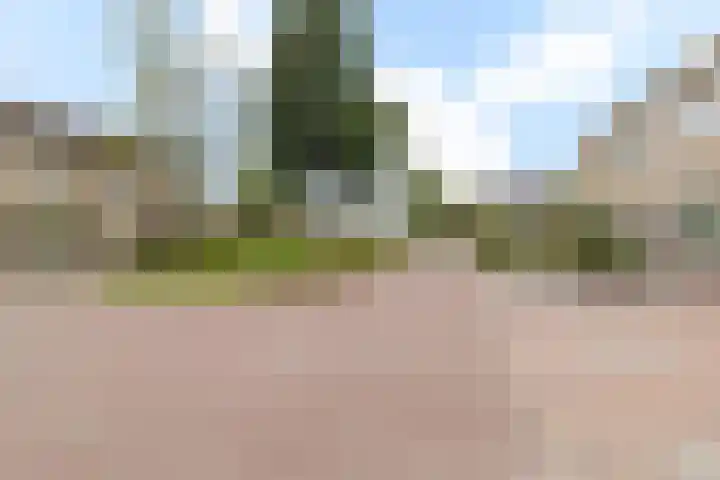 Grote Beukelaer 46 Heino thumbnail 37