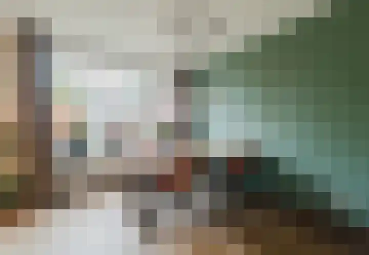 Grote Beukelaer 46 Heino thumbnail 8