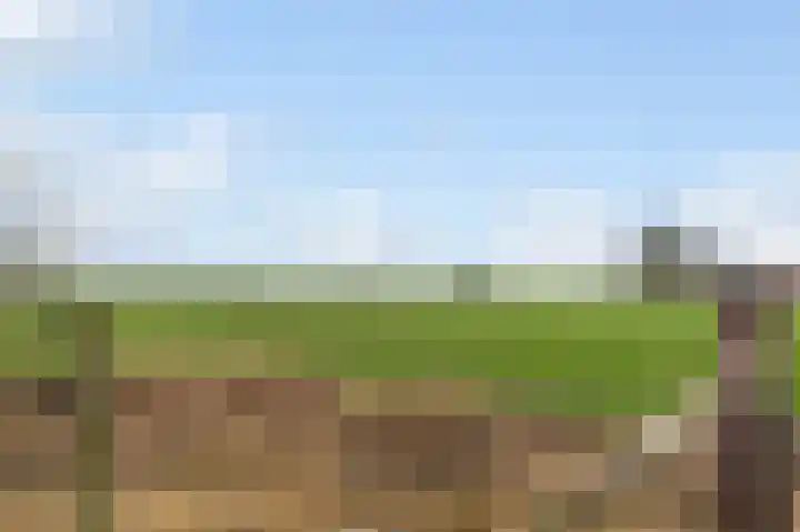 Grote Biesem 40 Doesburg thumbnail 28