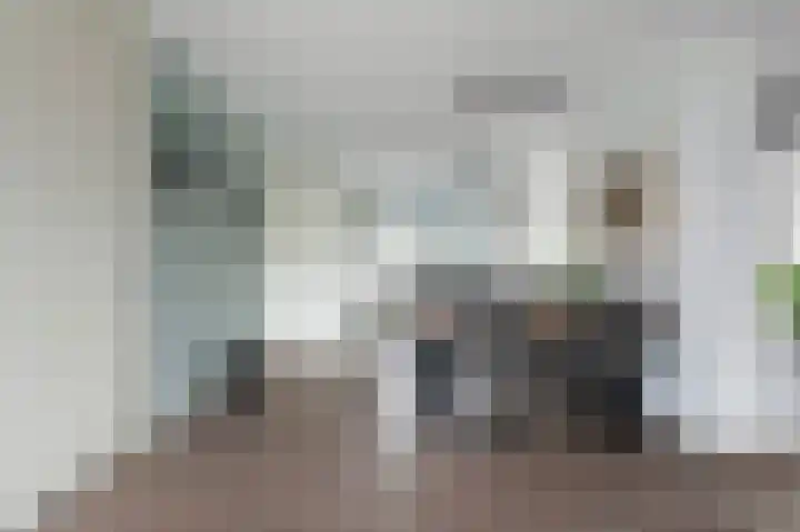 Grote Biesem 40 Doesburg thumbnail 5