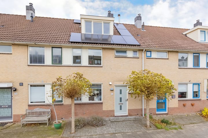 Grote Boterbloem 74 in Velserbroek foto