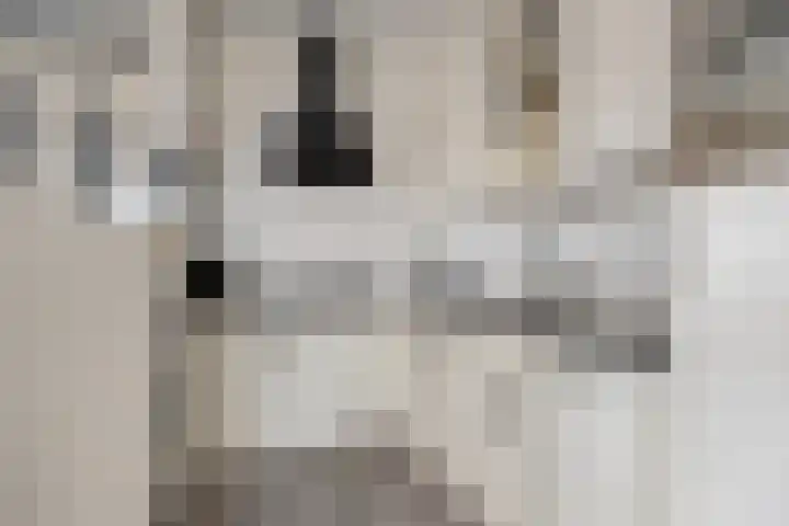 Grote Breeken 35 Driel thumbnail 17