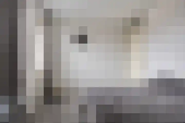 Grote Breeken 35 Driel thumbnail 23