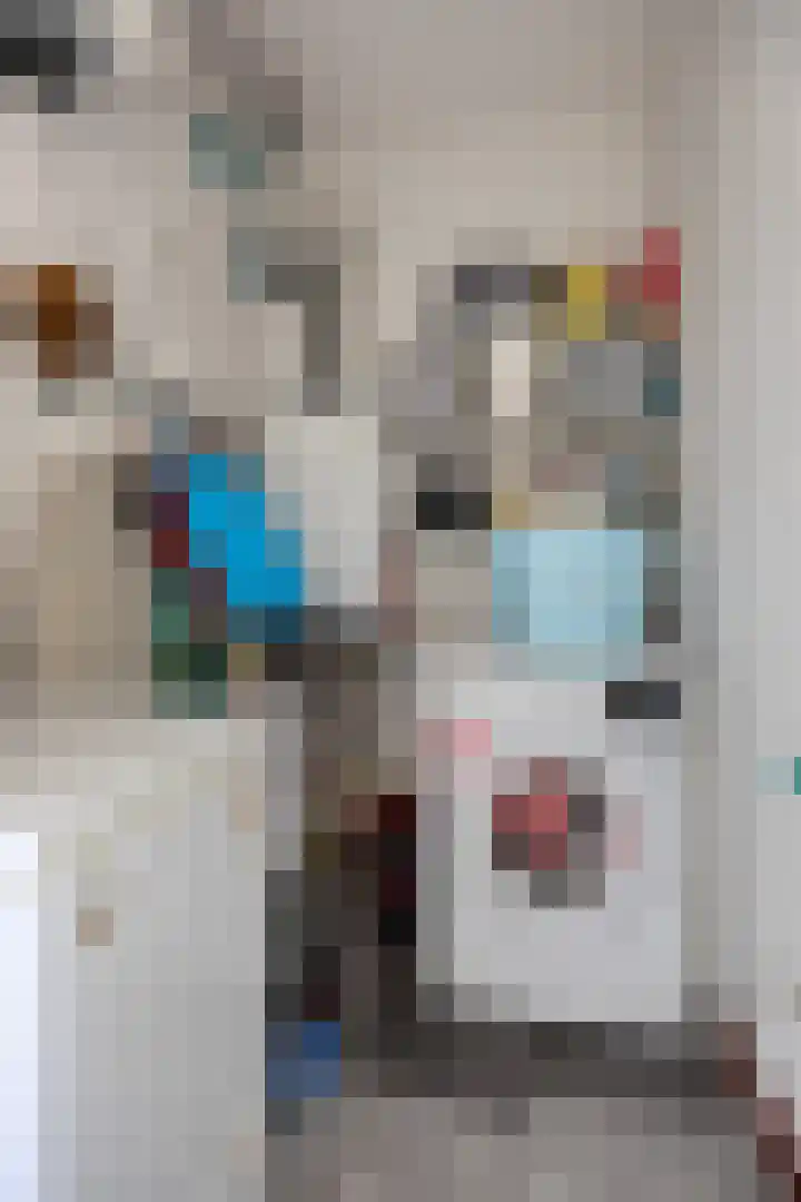 Grote Breeken 35 Driel thumbnail 29