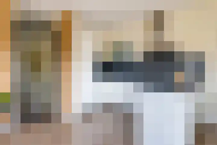 Grote Breeken 75 Driel thumbnail 24
