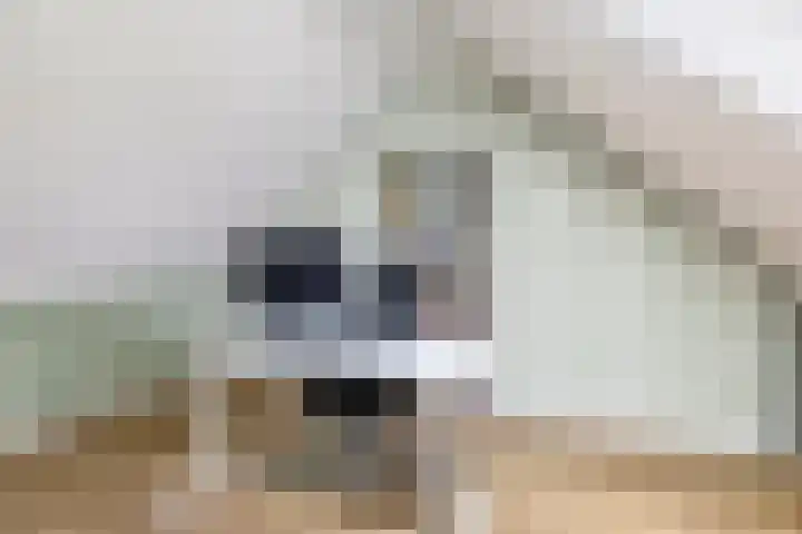 Grote Breeken 75 Driel thumbnail 45