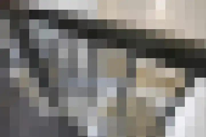 Grote Breeken 75 Driel thumbnail 53