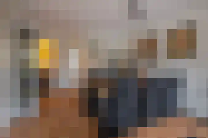 Grote Breide 5 Westervoort thumbnail 16