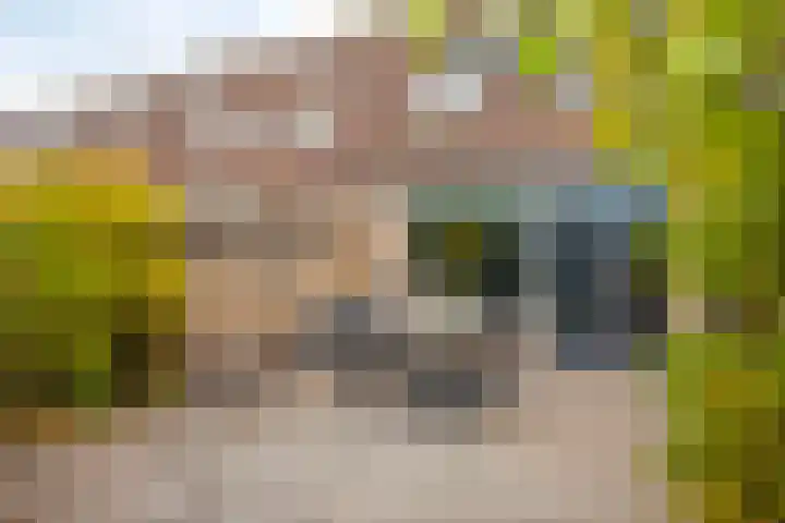 Grote Breide 5 Westervoort thumbnail 20