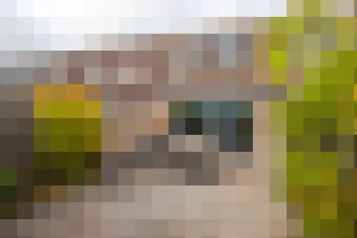 Grote Breide 5 Westervoort thumbnail 22