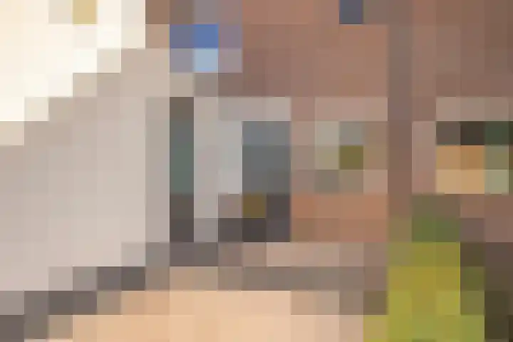 Grote Breide 5 Westervoort thumbnail 8
