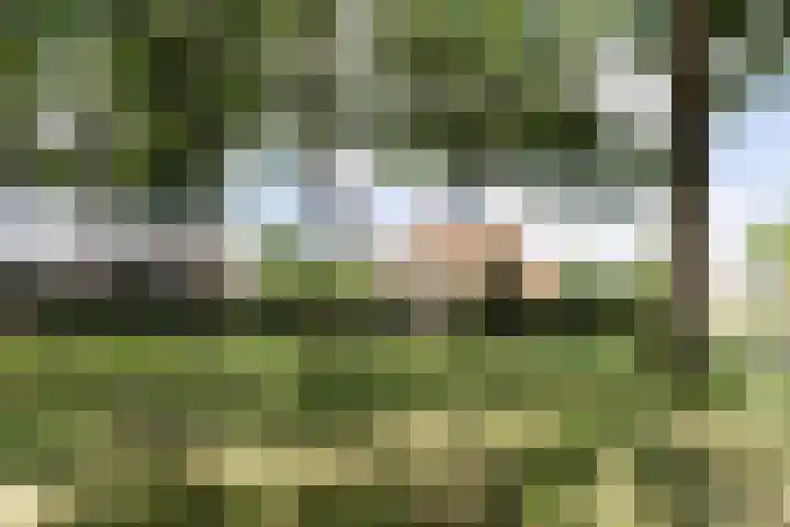 Grote Brink 33 Rolde thumbnail 101