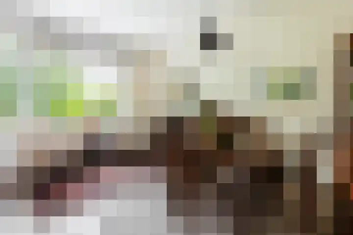 Grote Brink 33 Rolde thumbnail 12