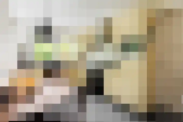 Grote Brink 33 Rolde thumbnail 20