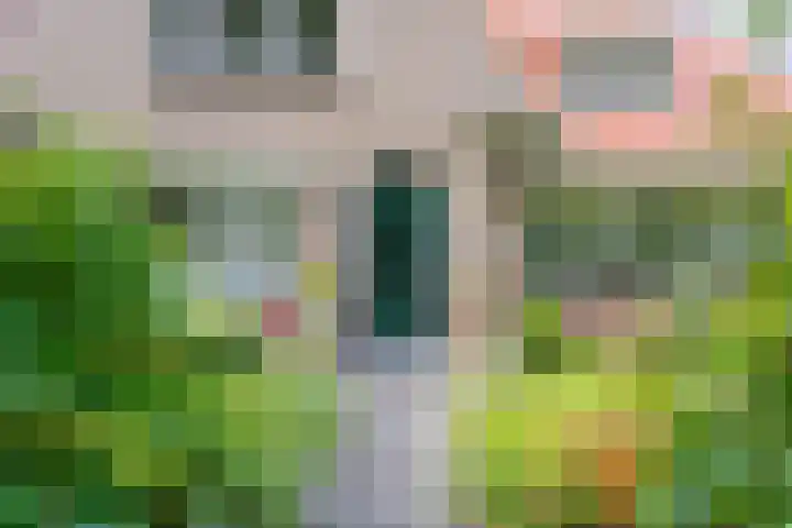 Grote Brink 33 Rolde thumbnail 4