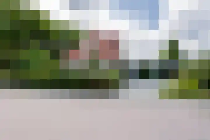 Grote Brink 33 Rolde thumbnail 48