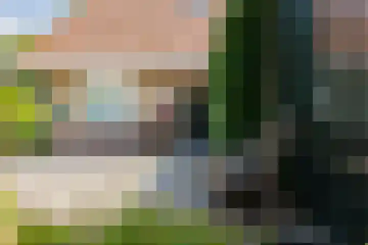 Grote Brink 33 Rolde thumbnail 50