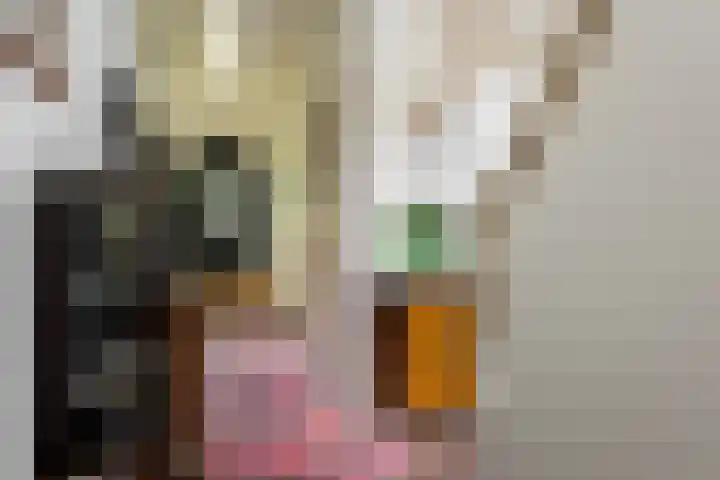 Grote Brink 33 Rolde thumbnail 7