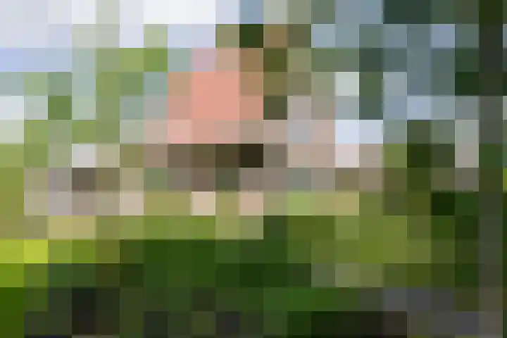 Grote Brink 33 Rolde thumbnail 83