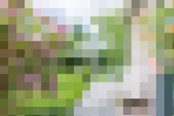 Grote Brink 33 Rolde thumbnail 89
