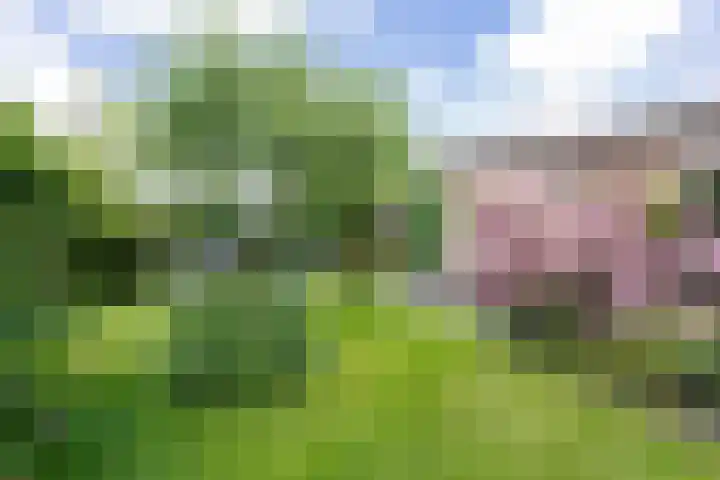 Grote Brink 33 Rolde thumbnail 91