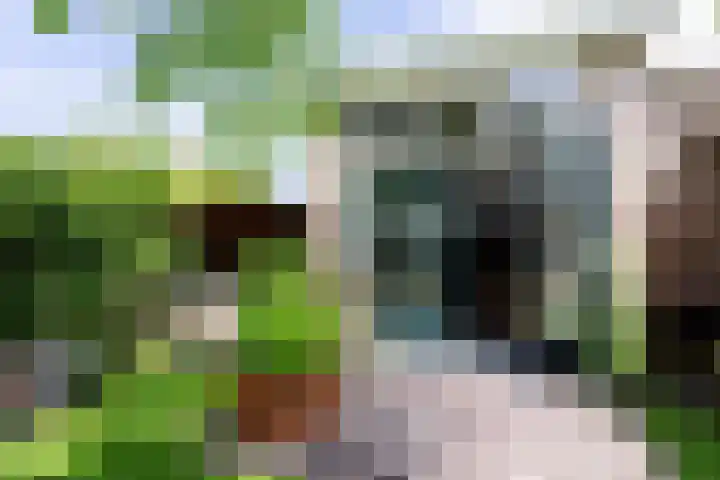 Grote Brink 33 Rolde thumbnail 97