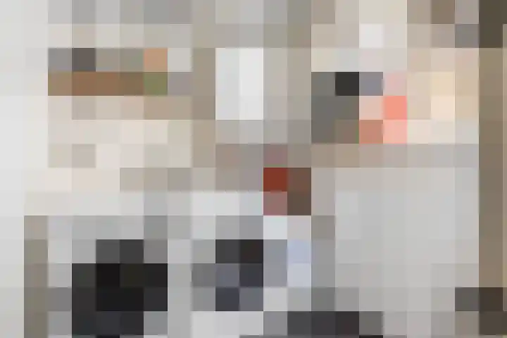 Grote Buren 53 Pingjum thumbnail 18