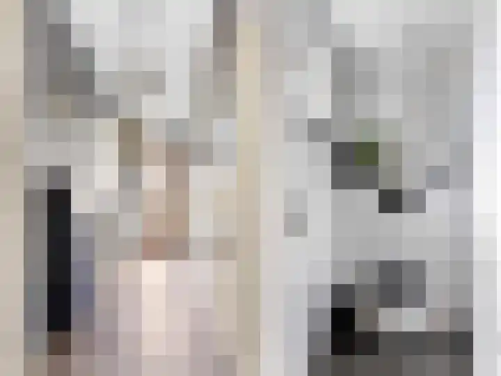 Grote Buren 53 Pingjum thumbnail 20