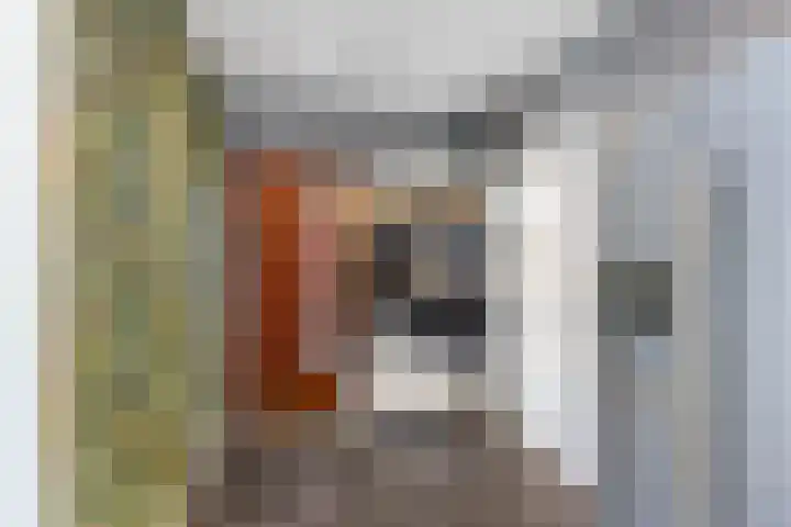 Grote Buren 53 Pingjum thumbnail 21