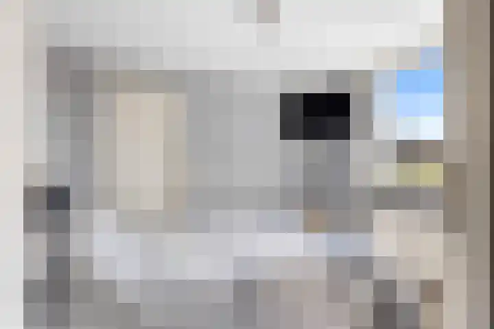 Grote Buren 53 Pingjum thumbnail 23