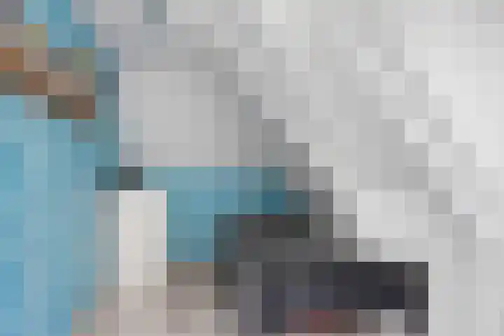 Grote Buren 53 Pingjum thumbnail 28