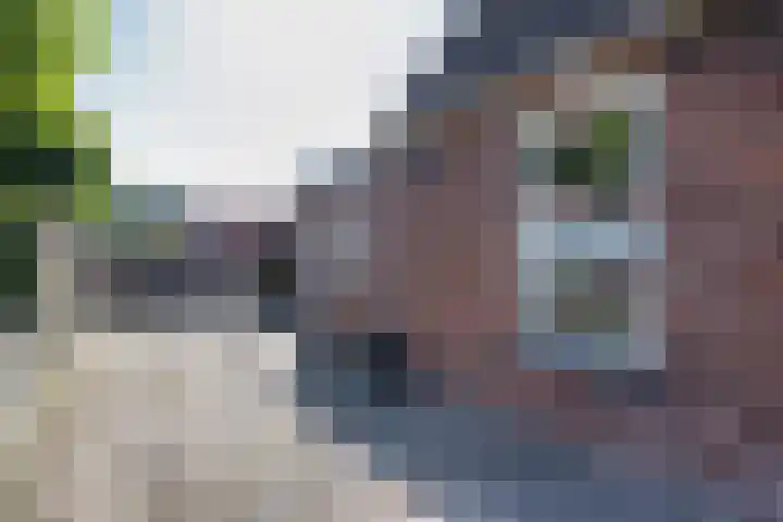 Grote Buren 53 Pingjum thumbnail 34
