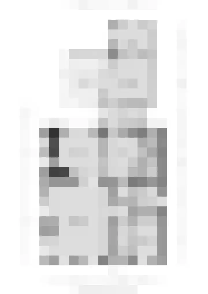 Grote Buren 53 Pingjum thumbnail 39