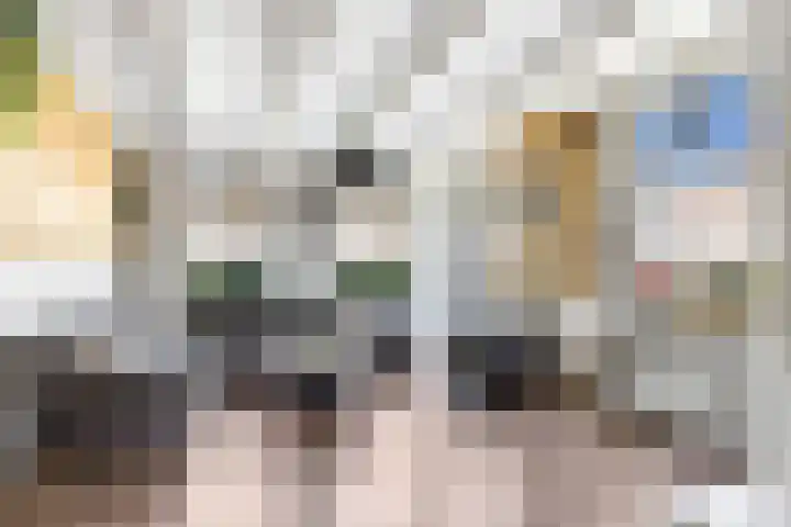 Grote Buren 53 Pingjum thumbnail 5