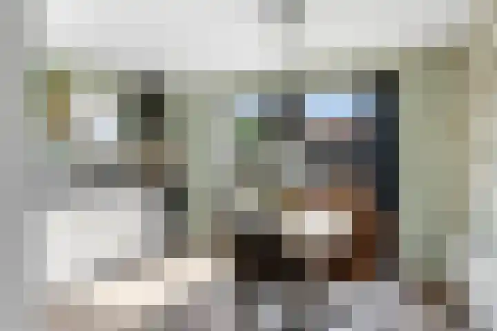 Grote Buren 53 Pingjum thumbnail 9