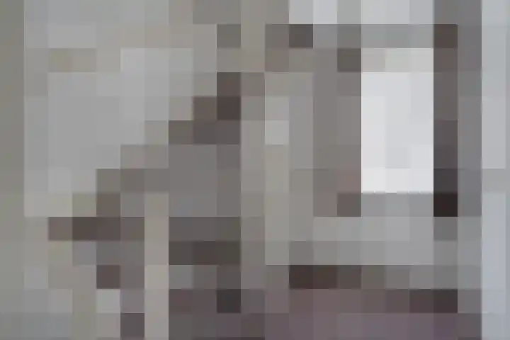 Grote Cour 33 Sint-Michielsgestel thumbnail 19