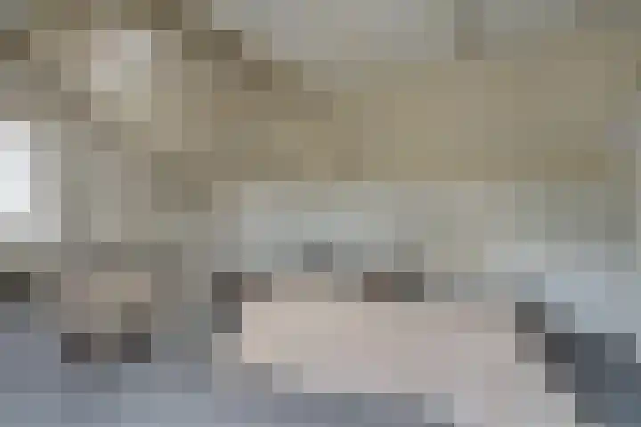 Grote Cour 33 Sint-Michielsgestel thumbnail 20