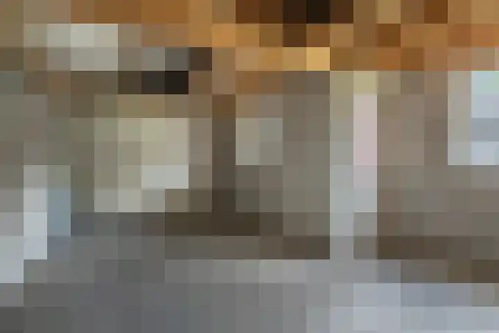 Grote Cour 33 Sint-Michielsgestel thumbnail 21