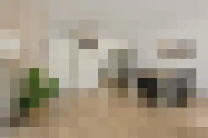 Grote Dijk 10 Breda thumbnail 10
