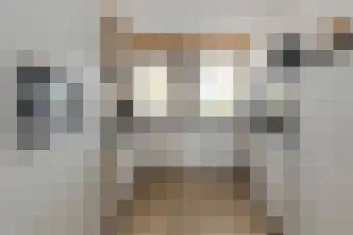 Grote Dijk 10 Breda thumbnail 13
