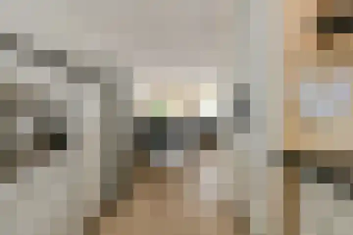 Grote Dijk 10 Breda thumbnail 15