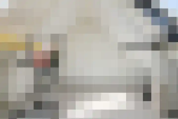 Grote Dijk 10 Breda thumbnail 33