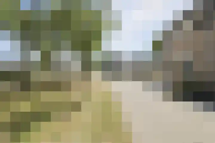 Grote Dijk 10 Breda thumbnail 40