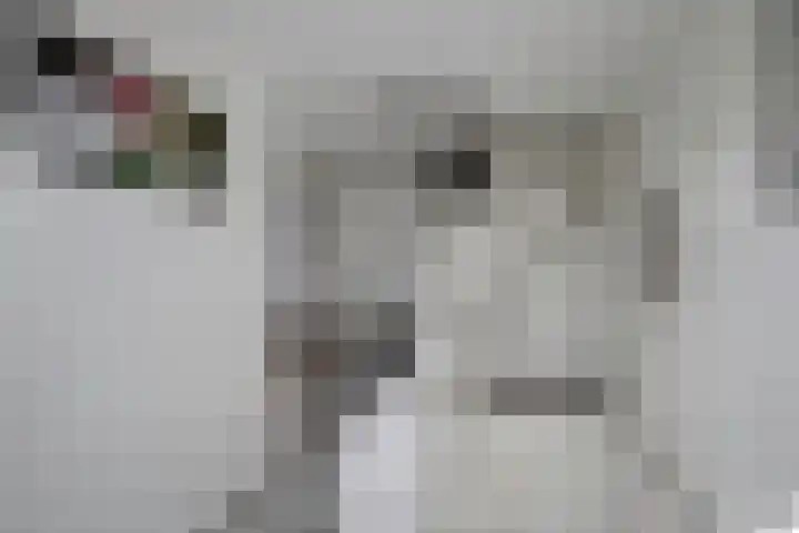 Grote Dijk 10 Breda thumbnail 7