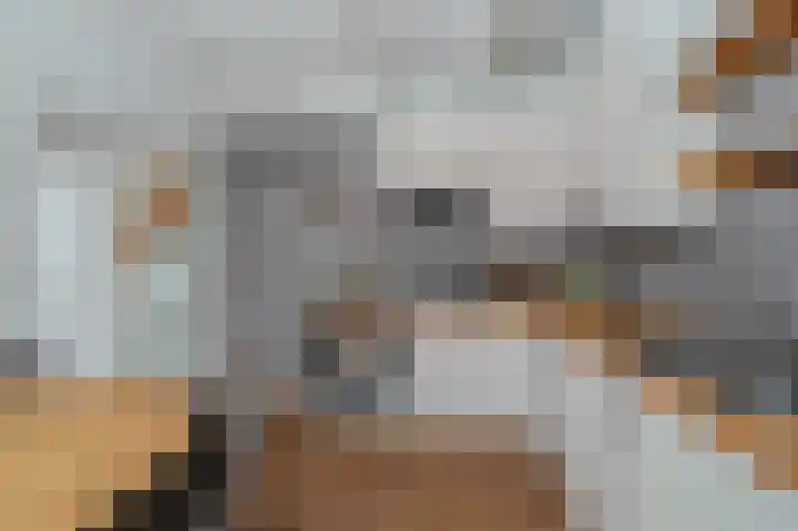 Grote Dijkstraat 18 Spijk thumbnail 12