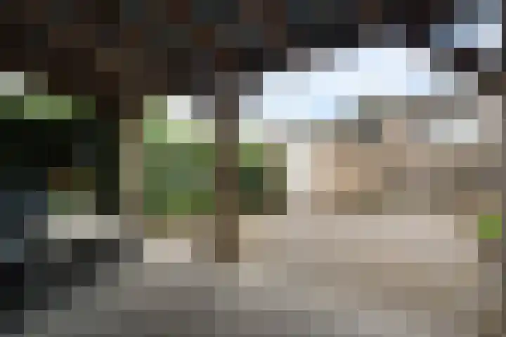 Grote Drift 71 Beilen thumbnail 28