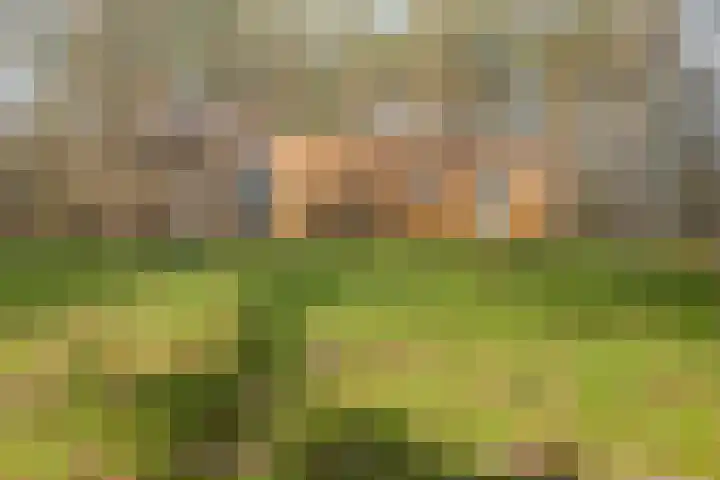 Grote Esweg 8 a Diffelen thumbnail 38