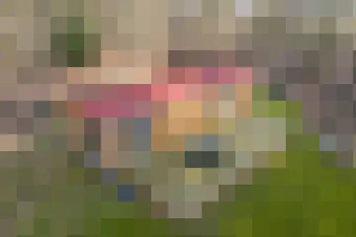 Grote Esweg 8 a Diffelen thumbnail 4
