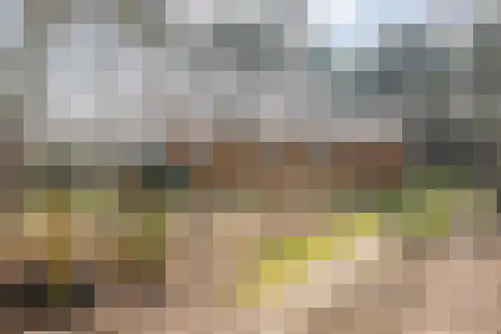 Grote Esweg 8 a Diffelen thumbnail 42